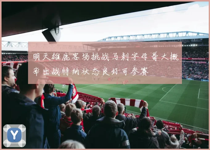明天雄鹿客场挑战马刺字母哥大概率出战特纳状态良好可参赛